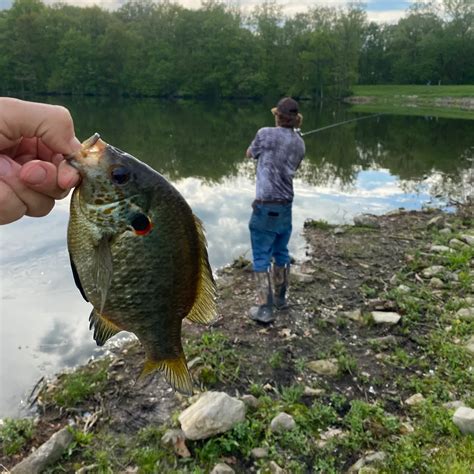where to fish in elyria .